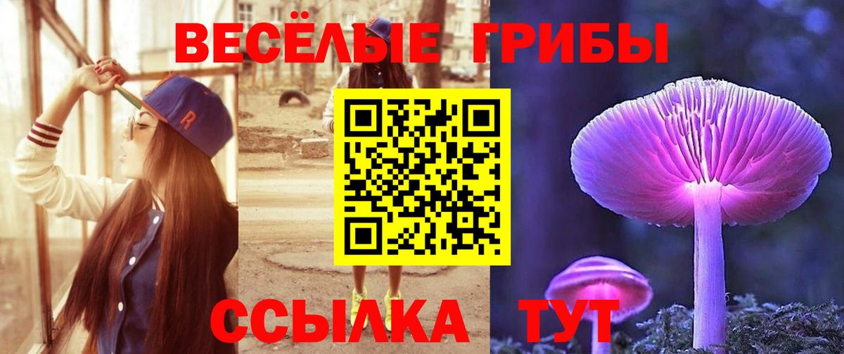 Галлюциногенные грибы мицелий Новороссийск