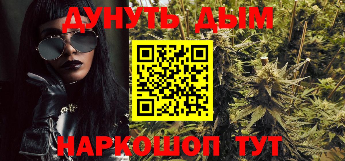 Бошки Шишки планчик Новороссийск